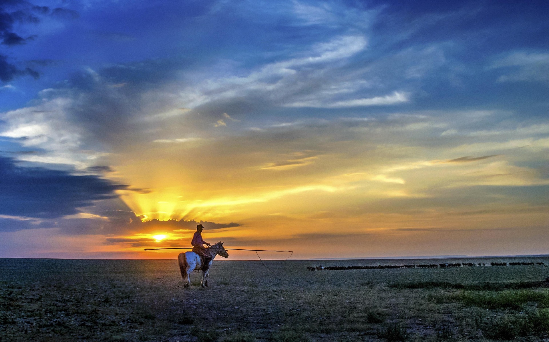 Visa Mongolia