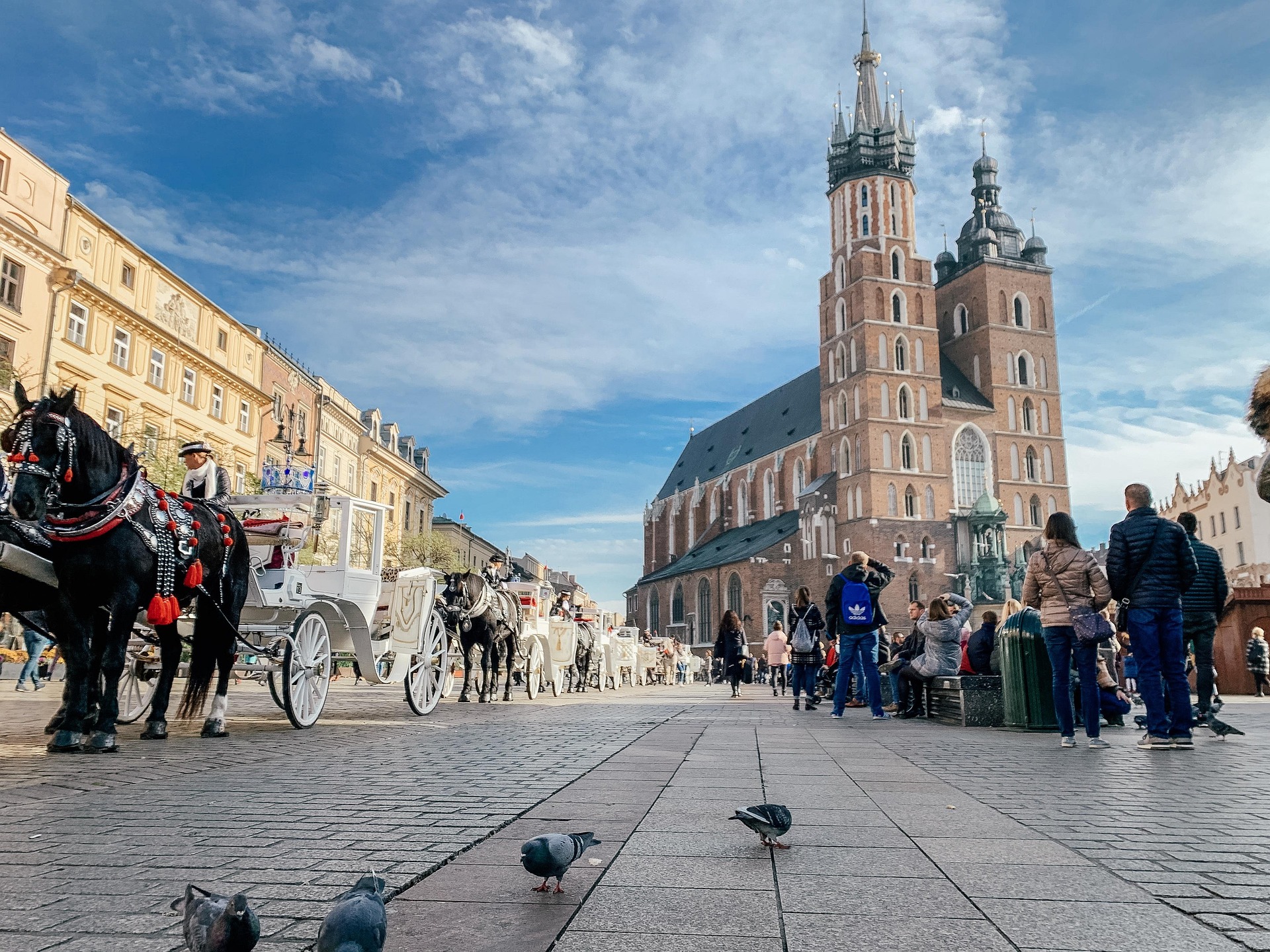 Visa Poland